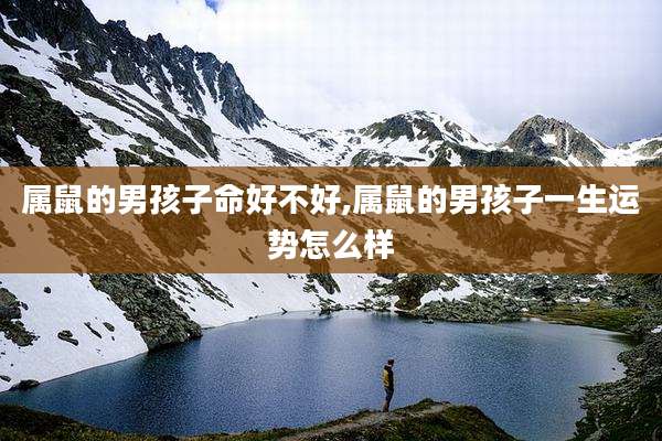 属鼠的男孩子命好不好,属鼠的男孩子一生运势怎么样
