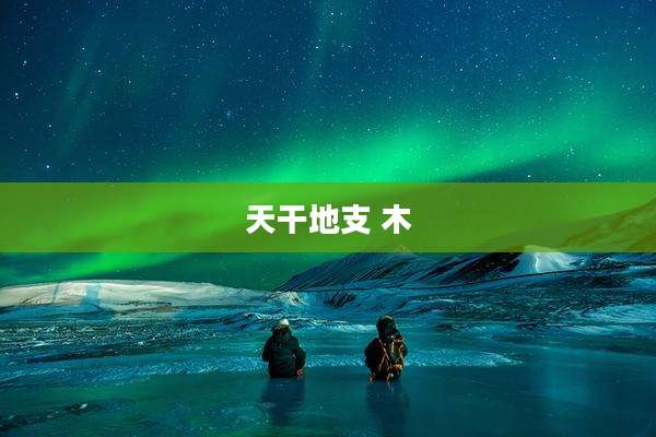 天干地支 木