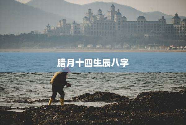 腊月十四生辰八字