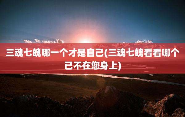 三魂七魄哪一个才是自己(三魂七魄看看哪个已不在您身上)