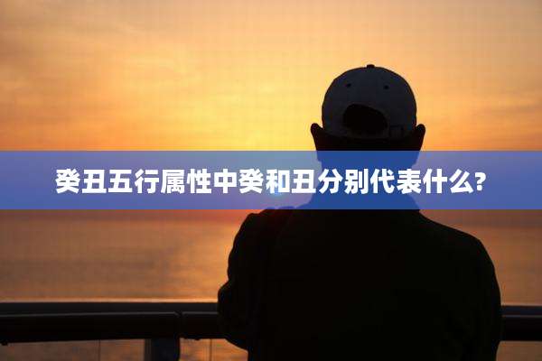 癸丑五行属性中癸和丑分别代表什么?