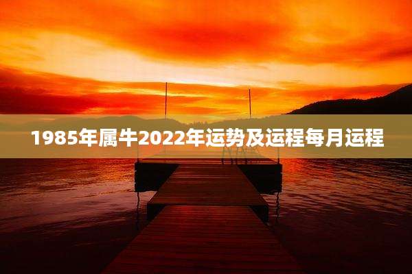 1985年属牛2022年运势及运程每月运程