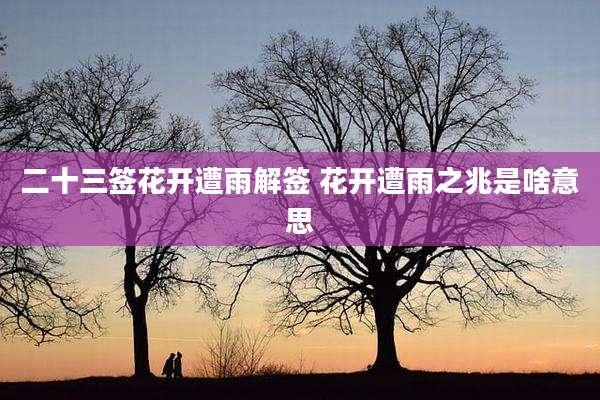 二十三签花开遭雨解签 花开遭雨之兆是啥意思