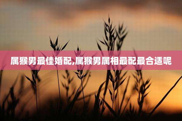 属猴男最佳婚配,属猴男属相最配最合适呢
