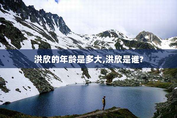洪欣的年龄是多大,洪欣是谁?