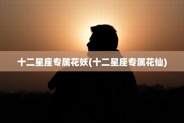 十二星座专属花妖(十二星座专属花仙)