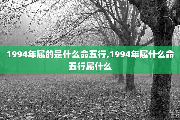 1994年属的是什么命五行,1994年属什么命五行属什么