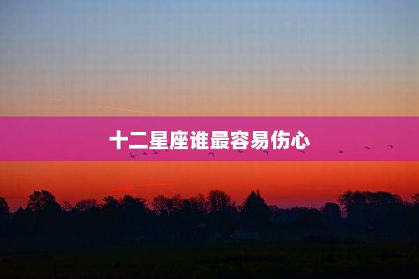 十二星座谁最容易伤心