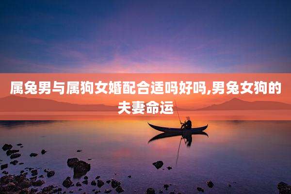 属兔男与属狗女婚配合适吗好吗,男兔女狗的夫妻命运