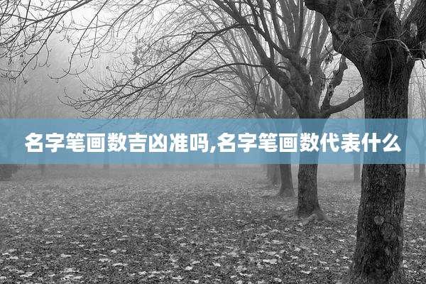 名字笔画数吉凶准吗,名字笔画数代表什么