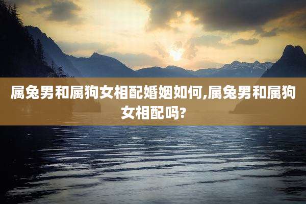 属兔男和属狗女相配婚姻如何,属兔男和属狗女相配吗?