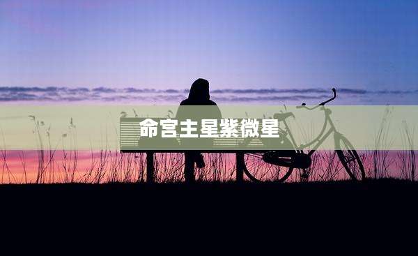 命宫主星紫微星