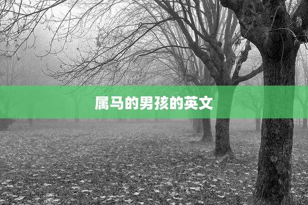 属马的男孩的英文