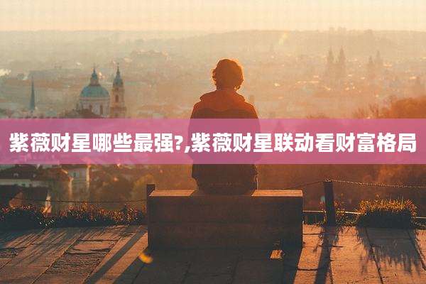 紫薇财星哪些最强?,紫薇财星联动看财富格局
