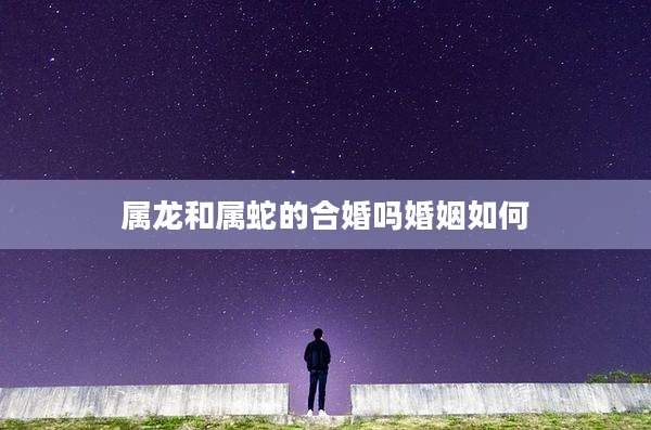 属龙和属蛇的合婚吗婚姻如何