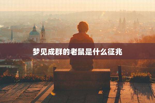 梦见成群的老鼠是什么征兆
