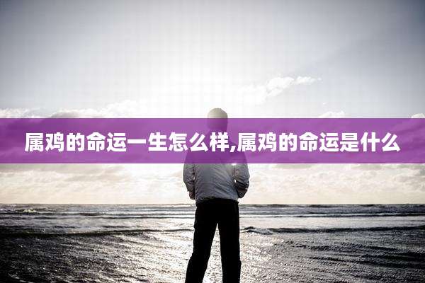 属鸡的命运一生怎么样,属鸡的命运是什么