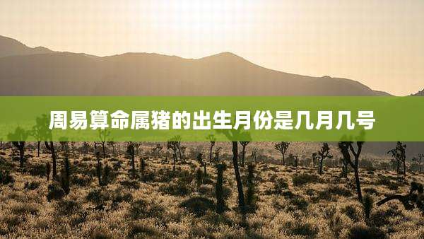 周易算命属猪的出生月份是几月几号