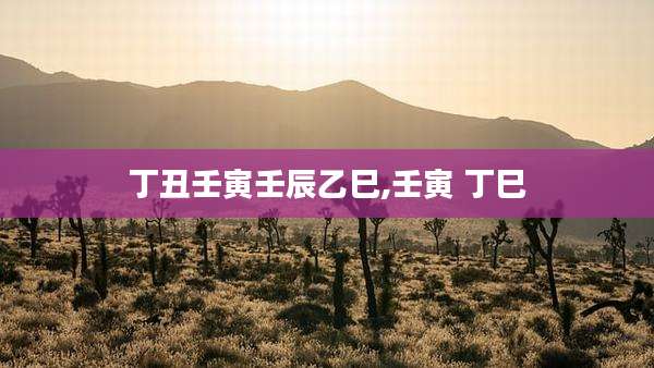 丁丑壬寅壬辰乙巳,壬寅 丁巳
