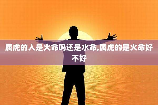 属虎的人是火命吗还是水命,属虎的是火命好不好