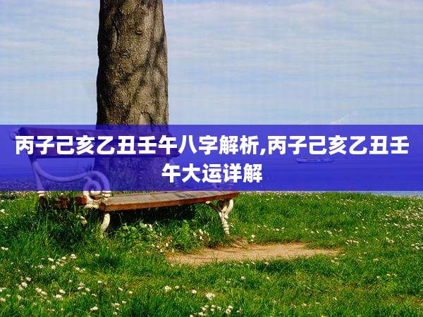 丙子己亥乙丑壬午八字解析,丙子己亥乙丑壬午大运详解