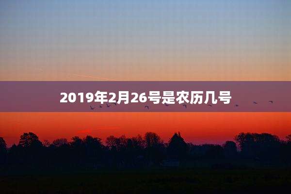 2019年2月26号是农历几号