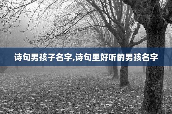诗句男孩子名字,诗句里好听的男孩名字