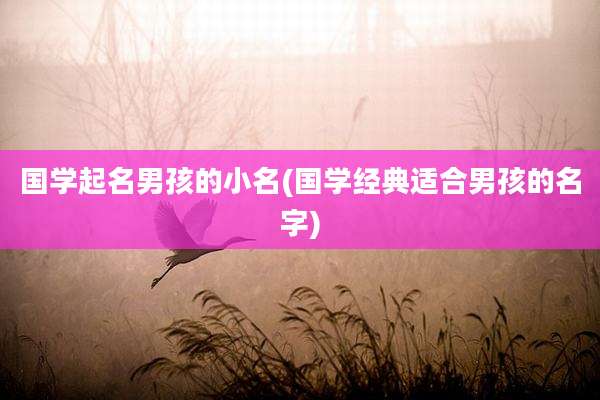 国学起名男孩的小名(国学经典适合男孩的名字)
