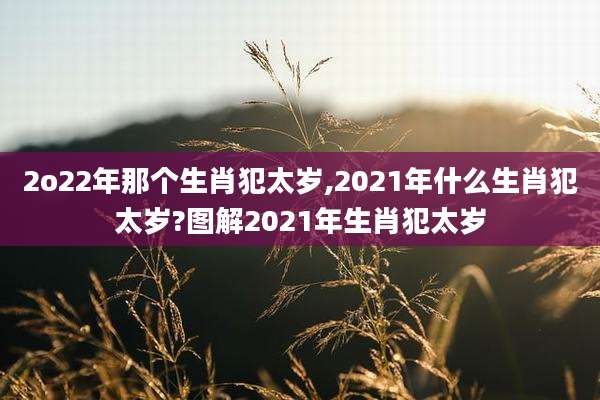 2o22年那个生肖犯太岁,2021年什么生肖犯太岁?图解2021年生肖犯太岁