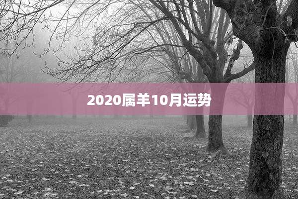 2020属羊10月运势