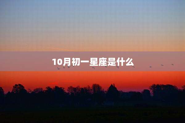10月初一星座是什么