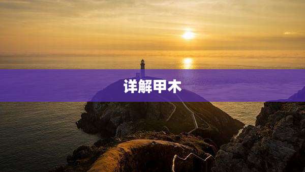 详解甲木