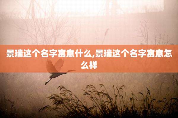景瑞这个名字寓意什么,景瑞这个名字寓意怎么样