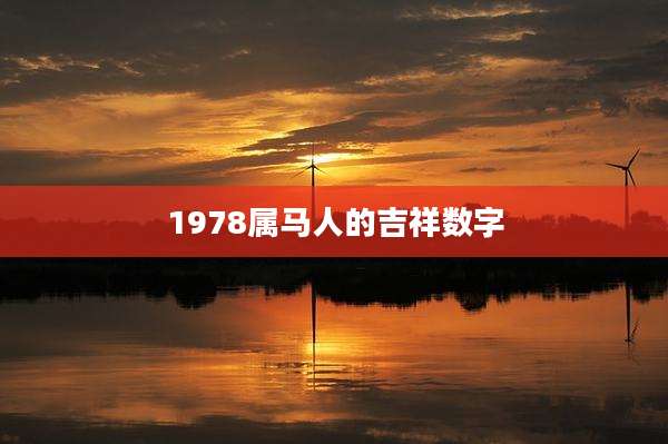 1978属马人的吉祥数字