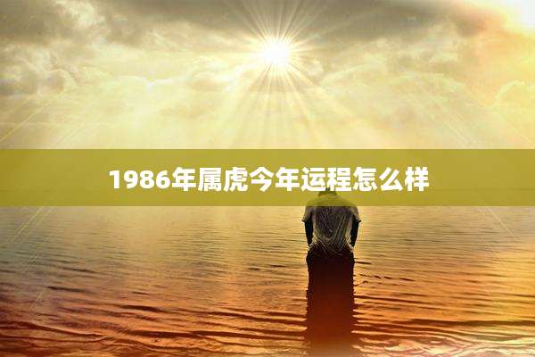 1986年属虎今年运程怎么样