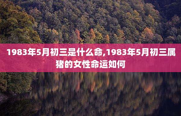 1983年5月初三是什么命,1983年5月初三属猪的女性命运如何