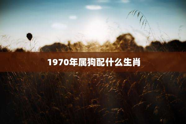 1970年属狗配什么生肖