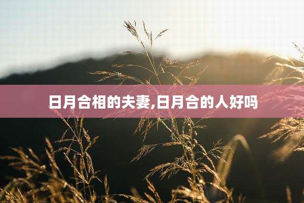 日月合相的夫妻,日月合的人好吗