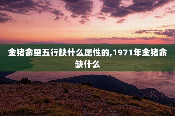 金猪命里五行缺什么属性的,1971年金猪命缺什么