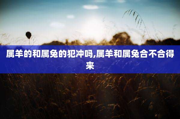 属羊的和属兔的犯冲吗,属羊和属兔合不合得来