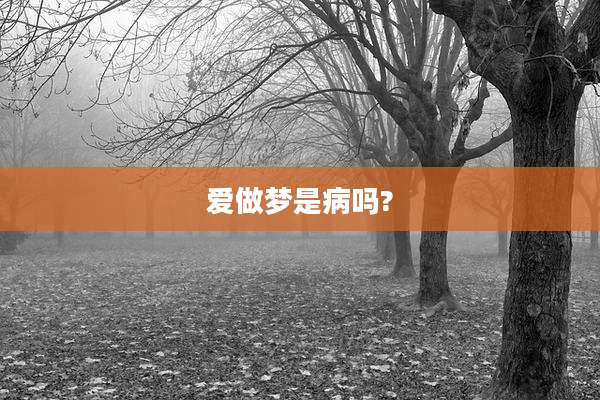 爱做梦是病吗?