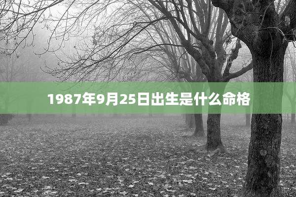 1987年9月25日出生是什么命格
