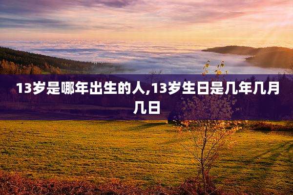 13岁是哪年出生的人,13岁生日是几年几月几日