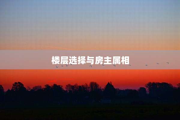 楼层选择与房主属相