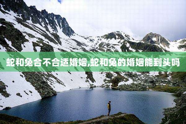 蛇和兔合不合适婚姻,蛇和兔的婚姻能到头吗