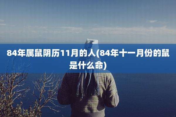 84年属鼠阴历11月的人(84年十一月份的鼠是什么命)