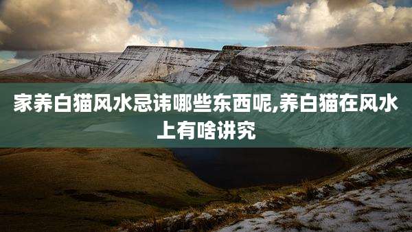 家养白猫风水忌讳哪些东西呢,养白猫在风水上有啥讲究