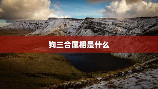 狗三合属相是什么