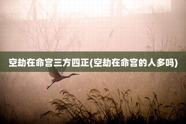 空劫在命宫三方四正(空劫在命宫的人多吗)