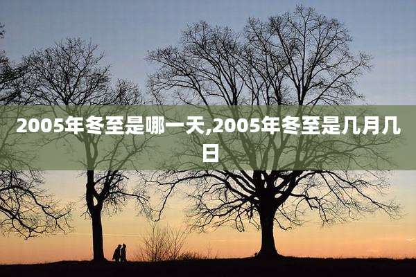 2005年冬至是哪一天,2005年冬至是几月几日